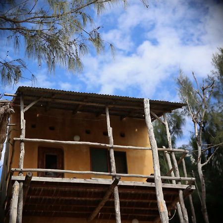 Tree House Cottage, Ocean View Praia do Praia do Tofo Eksteriør bilde